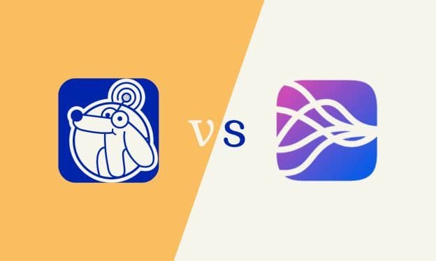 Closely vs Botdog: Which LinkedIn Automation Tool Should You Choose in 2025?